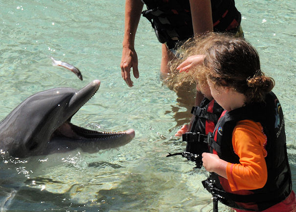 hawaii136.jpg.... Lila is 3