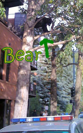 aspen187.jpg.... Lila is 3