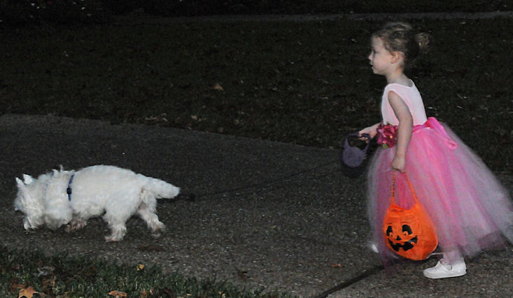 halloween28.jpg.... Lila is 3