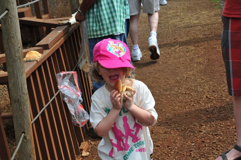 DSC_0760.jpg.... Lila is 3