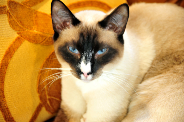 DSC_6882.jpg.... Lila is 3